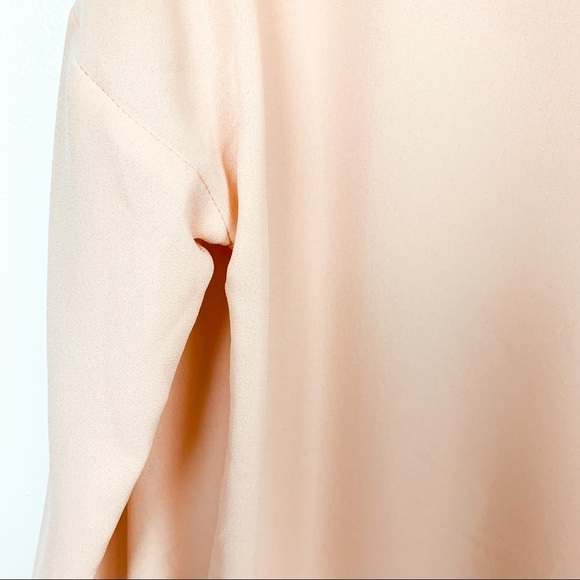 Zara Pink Sheer Long Sleeve with Beaded Collar - Picture 7 of 11